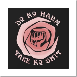 Do No Harm Take No Shit Posters and Art